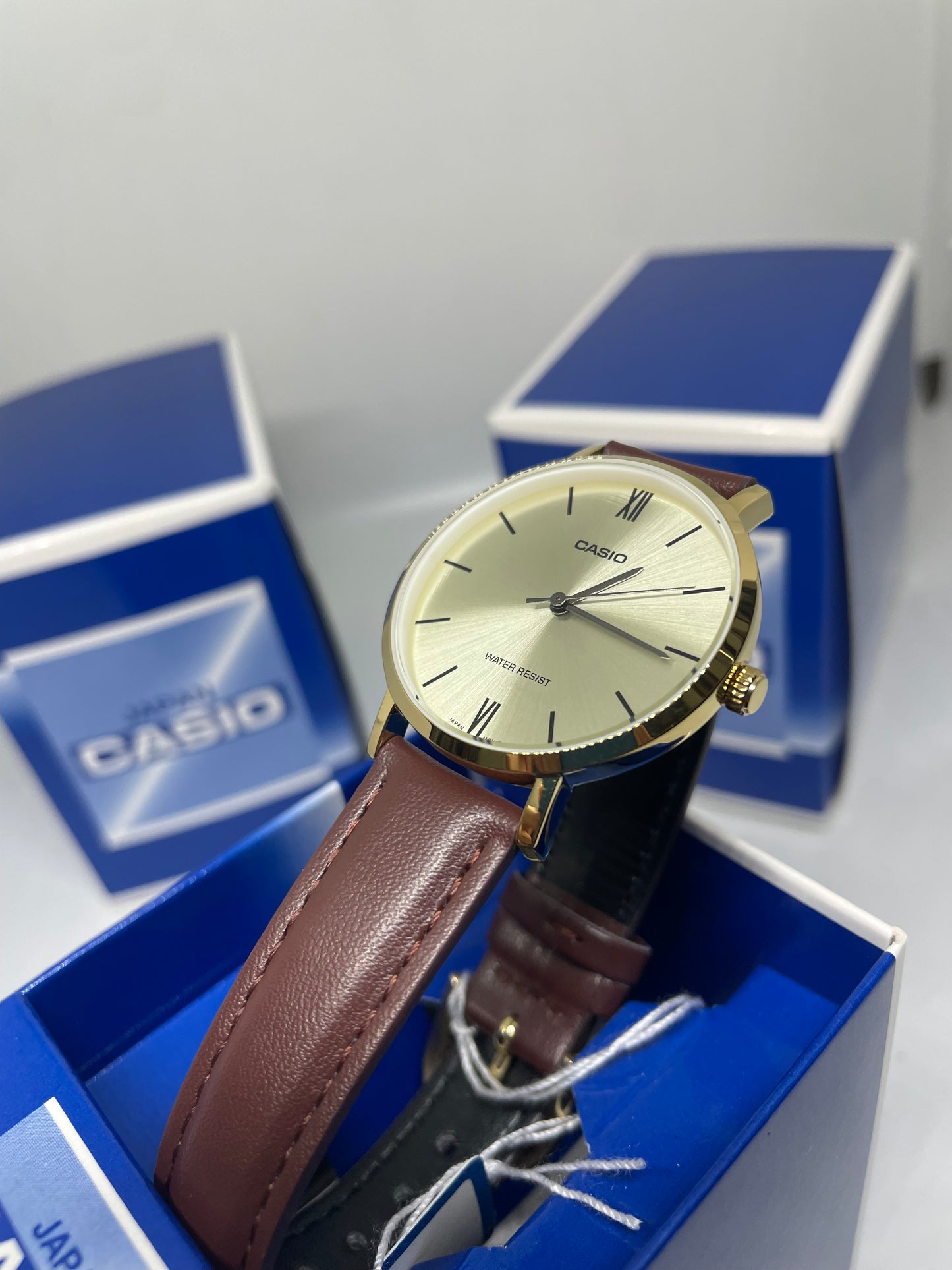 RELOJ CASIO LTP-VT01GL