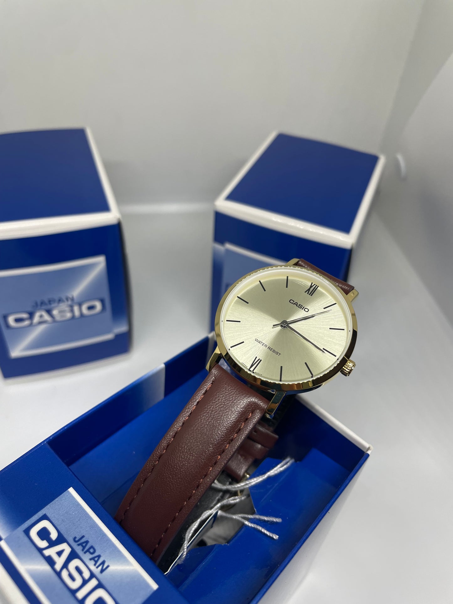 RELOJ CASIO LTP-VT01GL