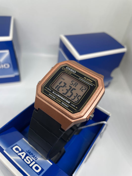 RELOJ CASIO W-217H