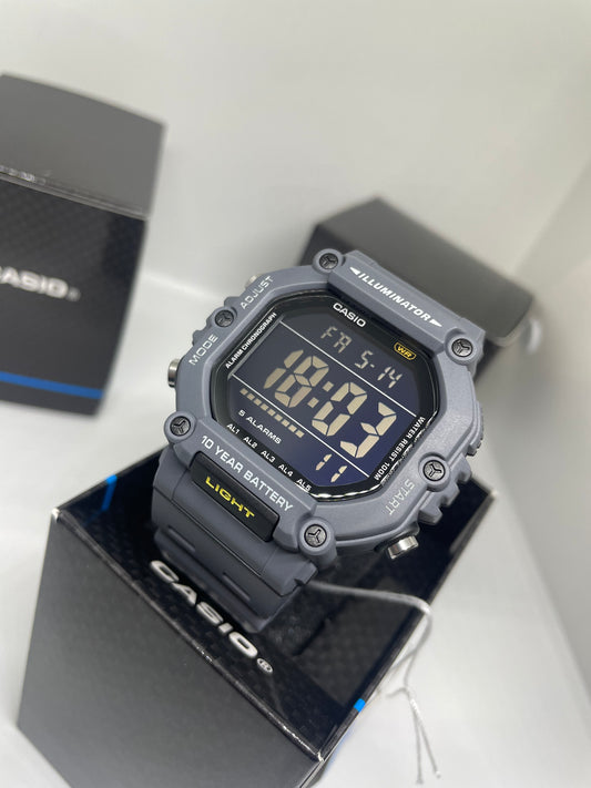 RELOJ CASIO AE1600H HOMBRE