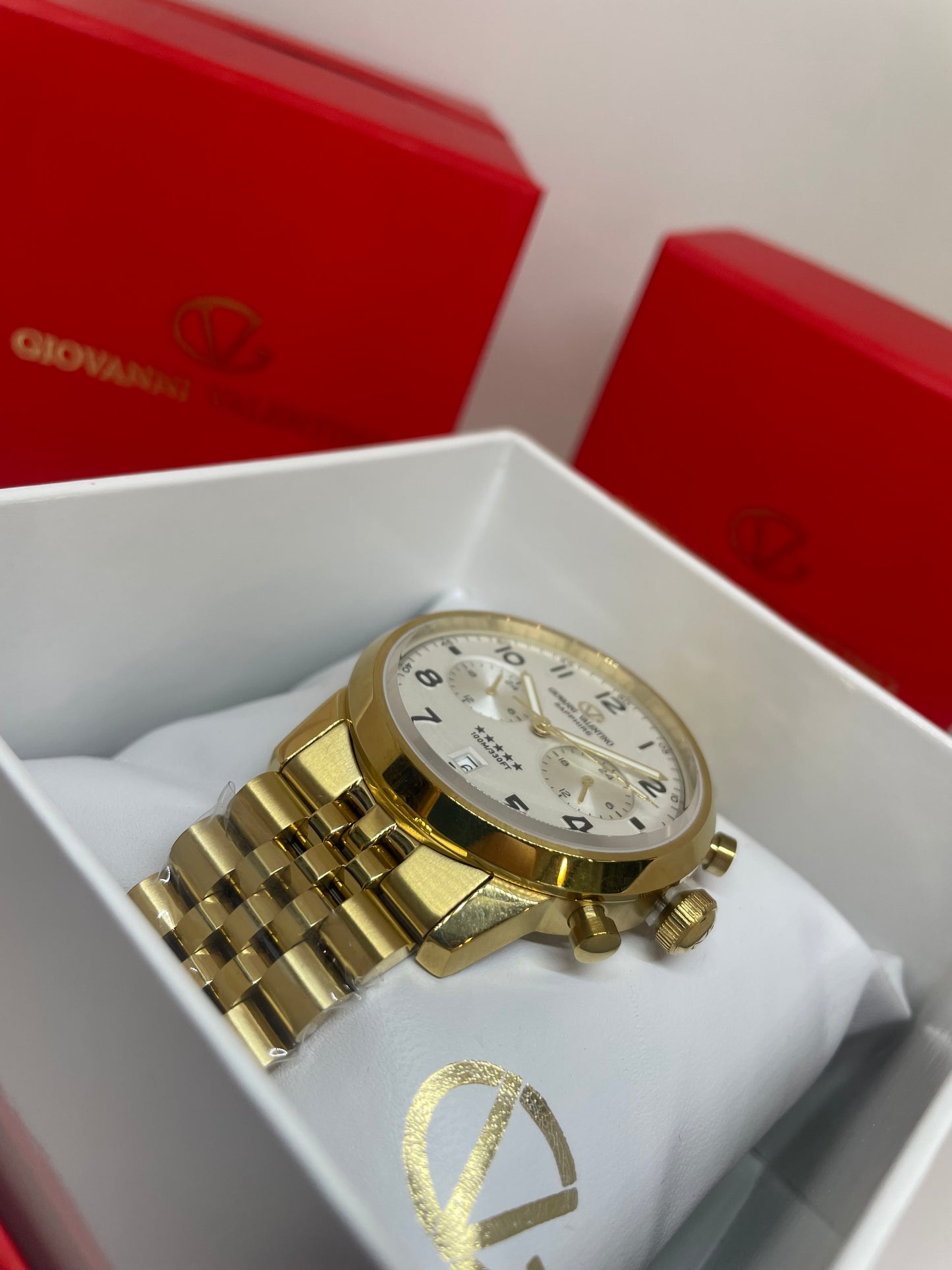 RELOJ GIOVANNI VALENTINO 9013GB - Casiolandia