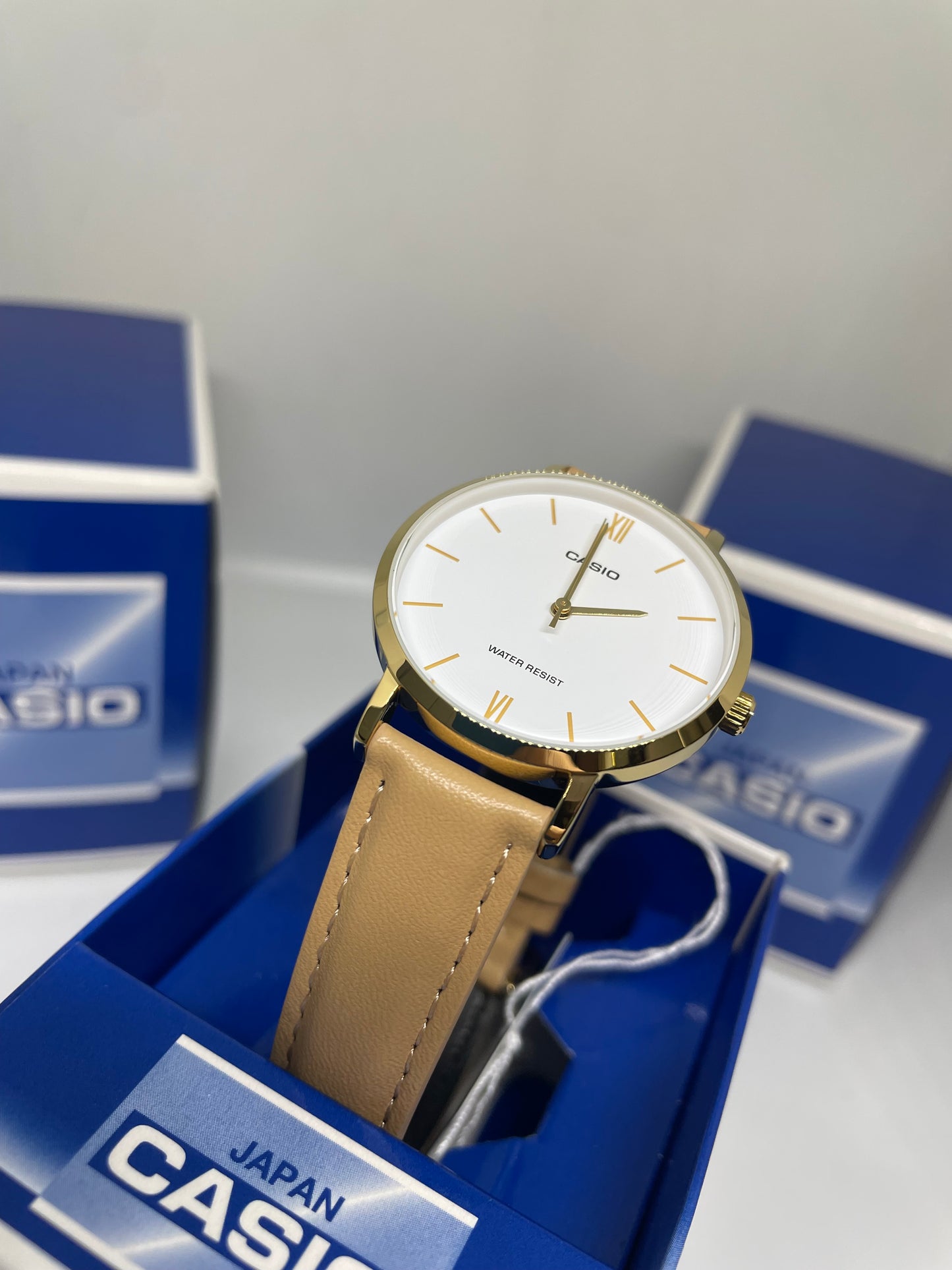 RELOJ CASIO LTP-VT01GL