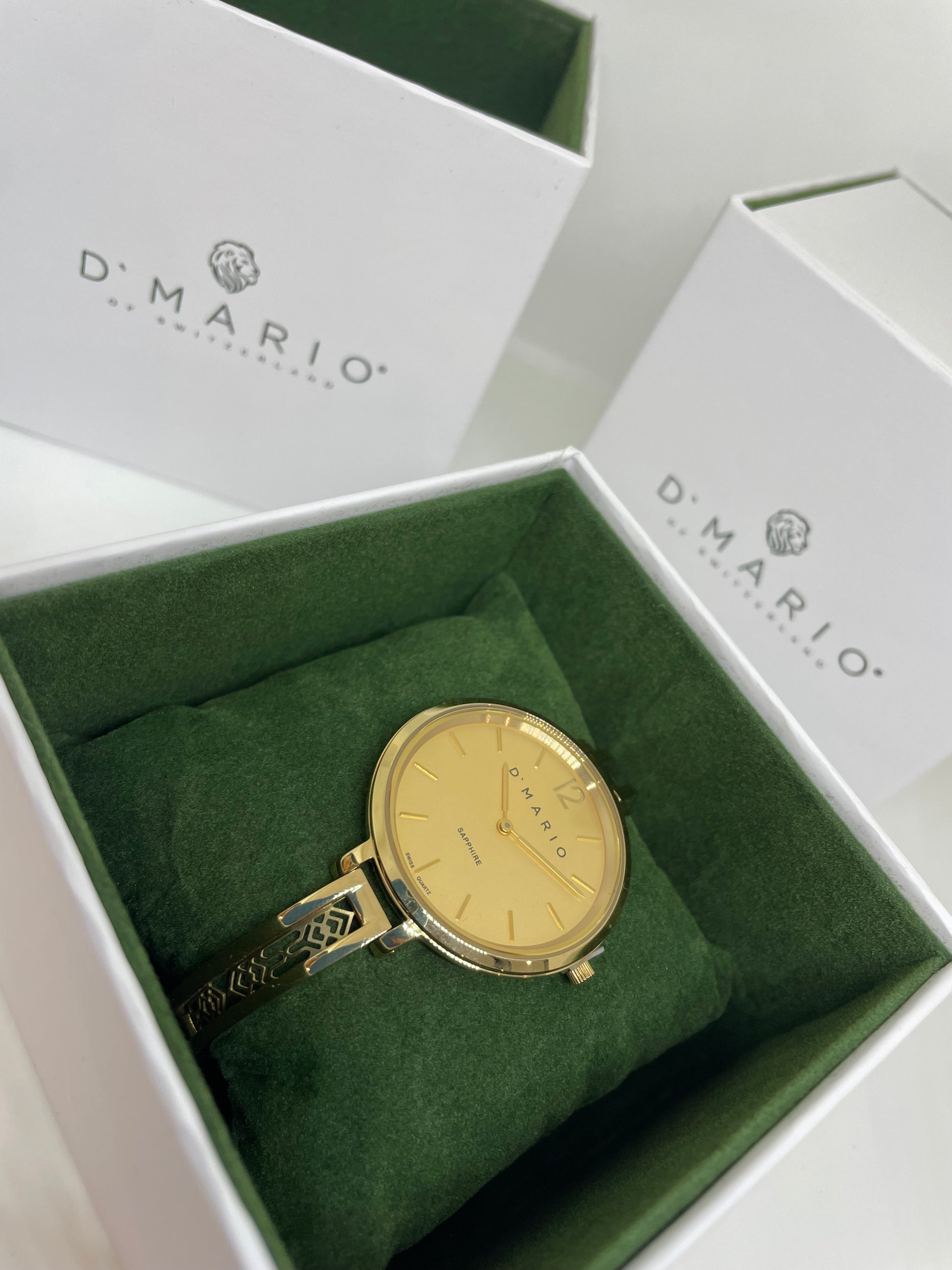RELOJ D MARIO FG1661 - Casiolandia