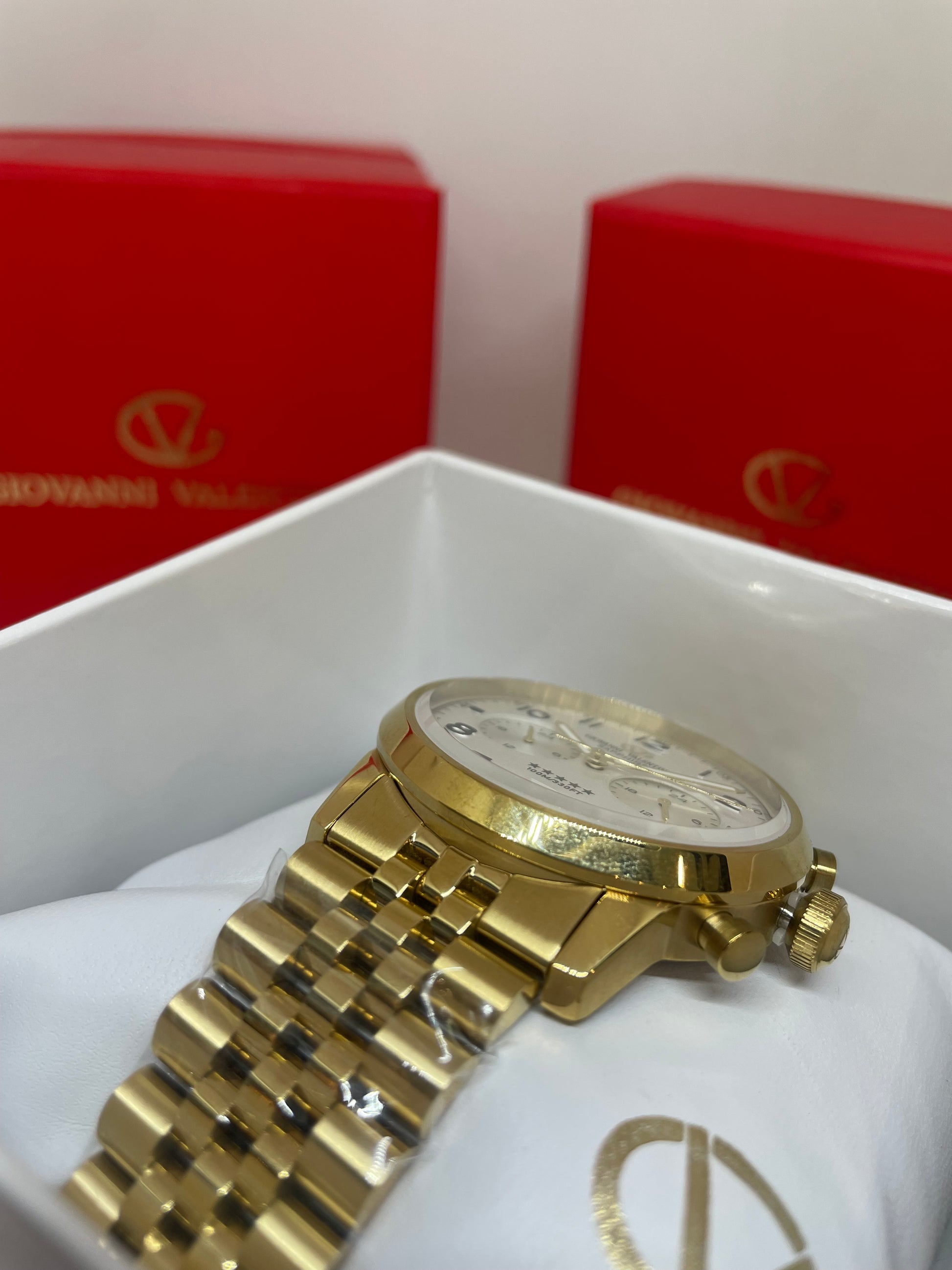 RELOJ GIOVANNI VALENTINO 9013GB - Casiolandia