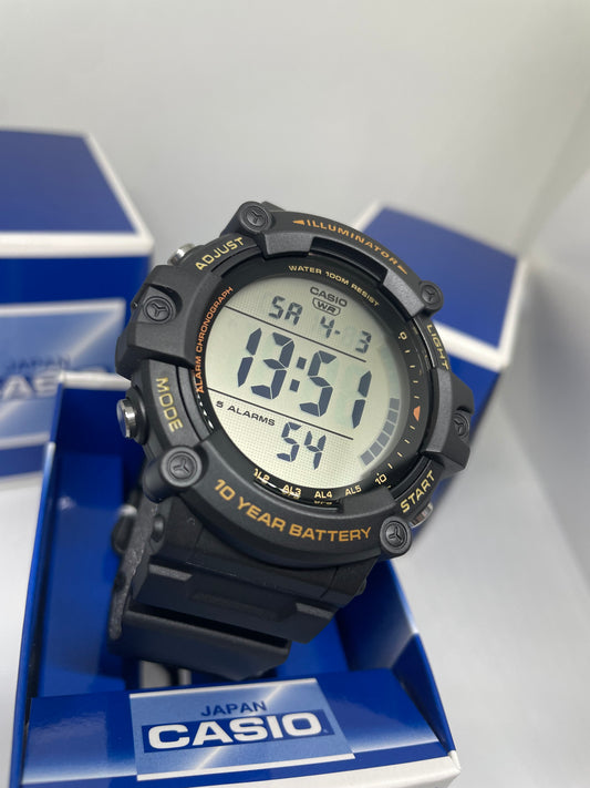 RELOJ CASIO AE1500