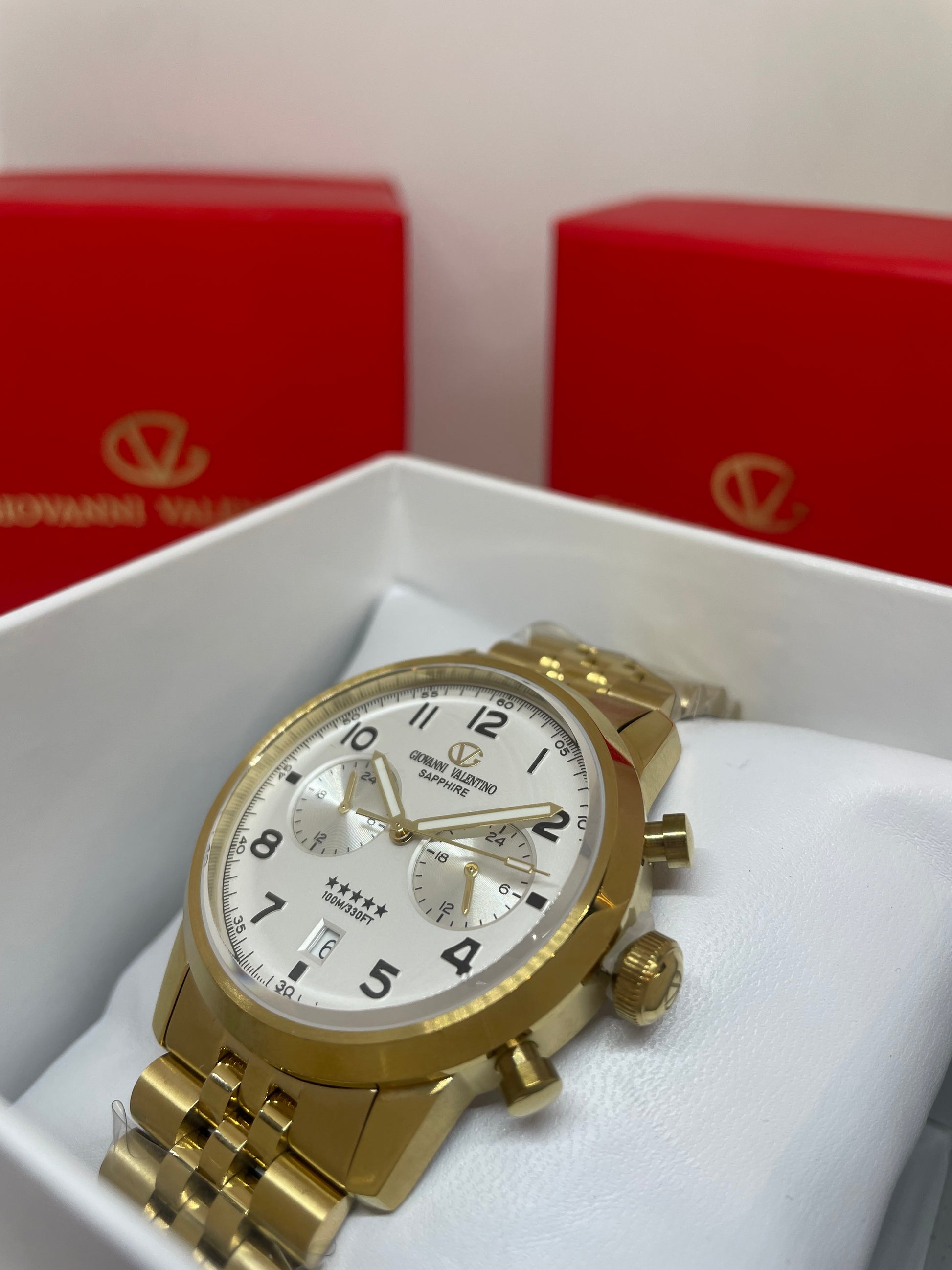 RELOJ GIOVANNI VALENTINO 9013GB - Casiolandia