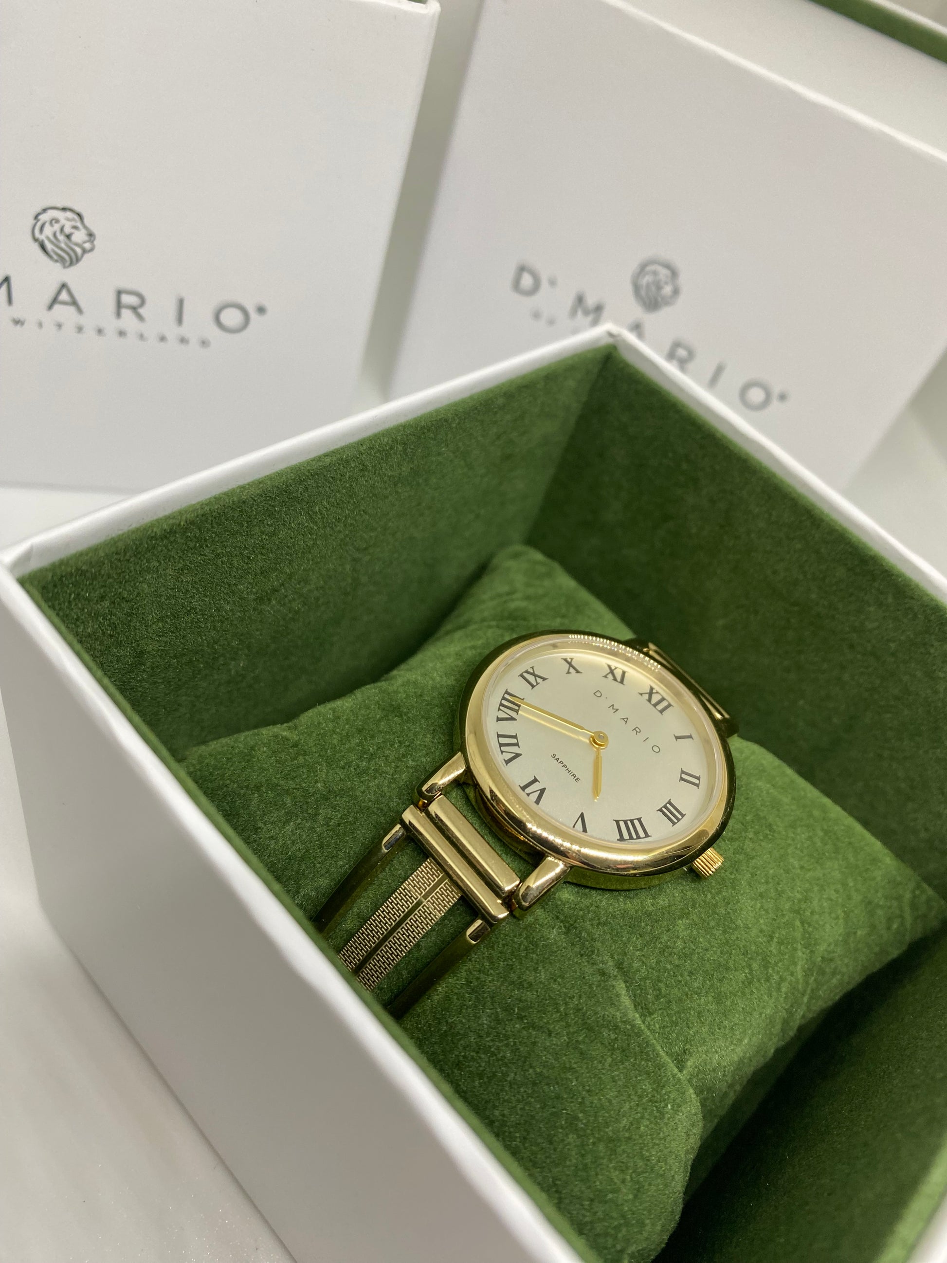 RELOJ D MARIO ZL0222 - Casiolandia