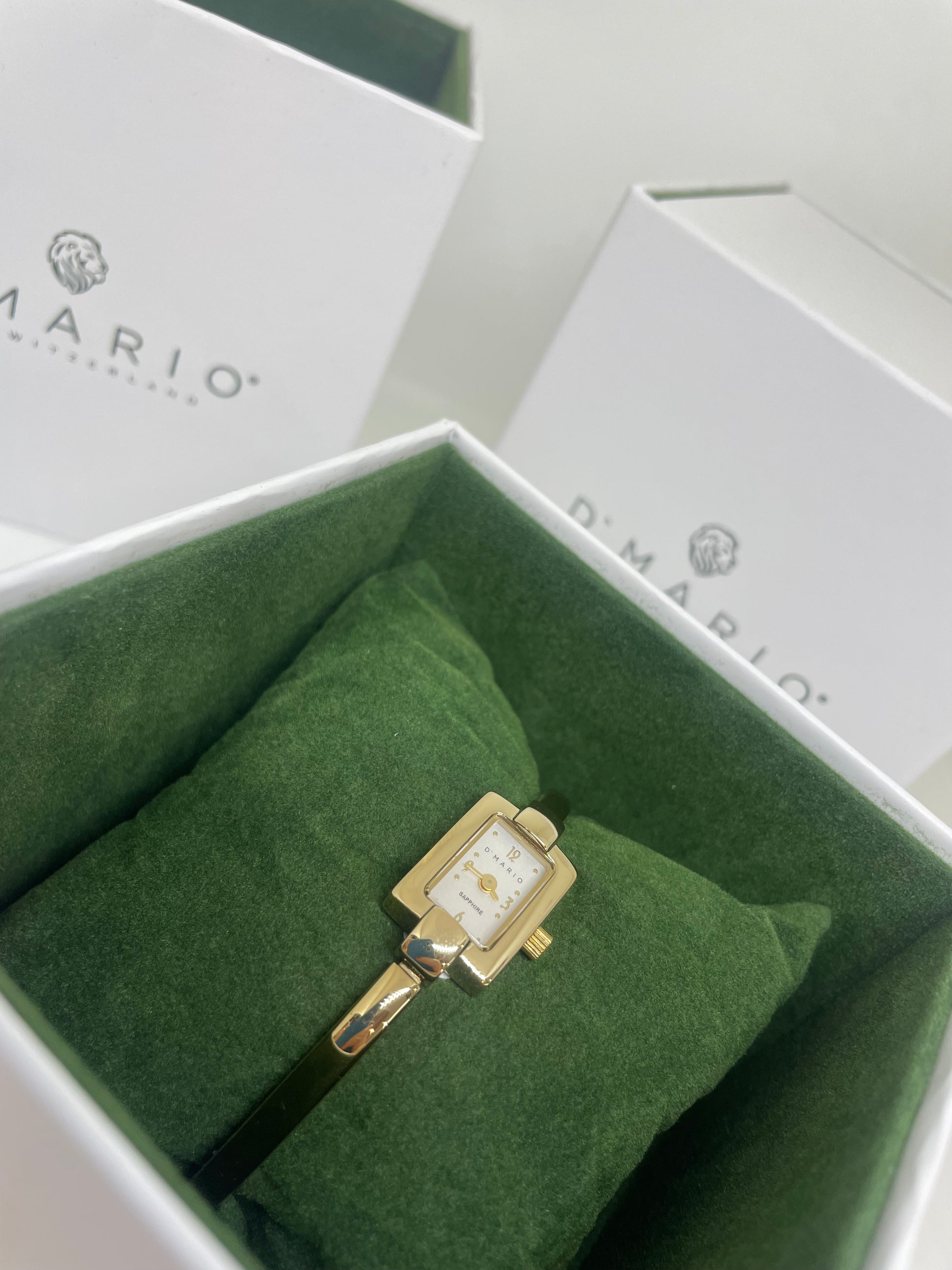 RELOJ D MARIO FA9319 - Casiolandia