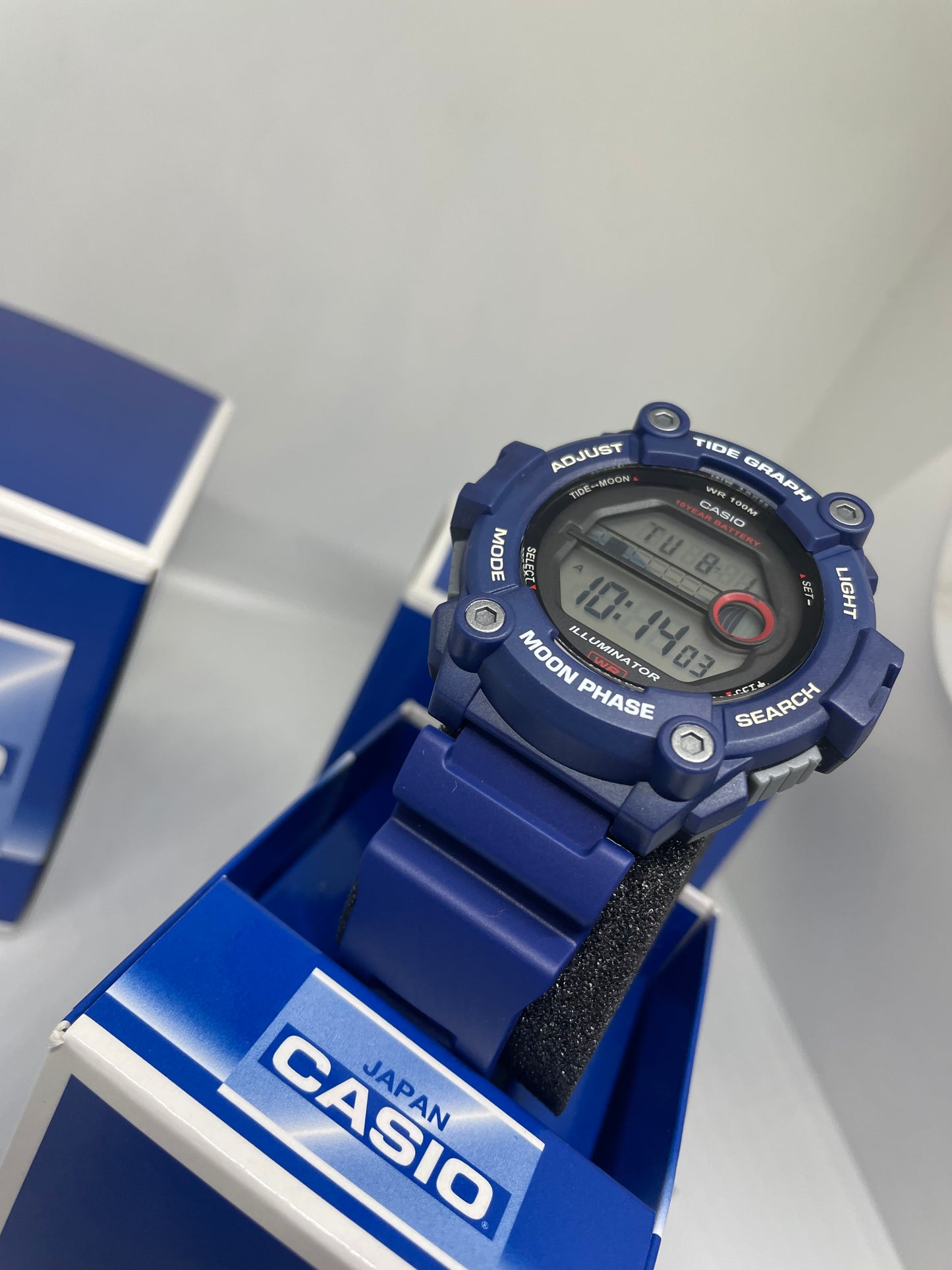 RELOJ CASIO WS-1300H