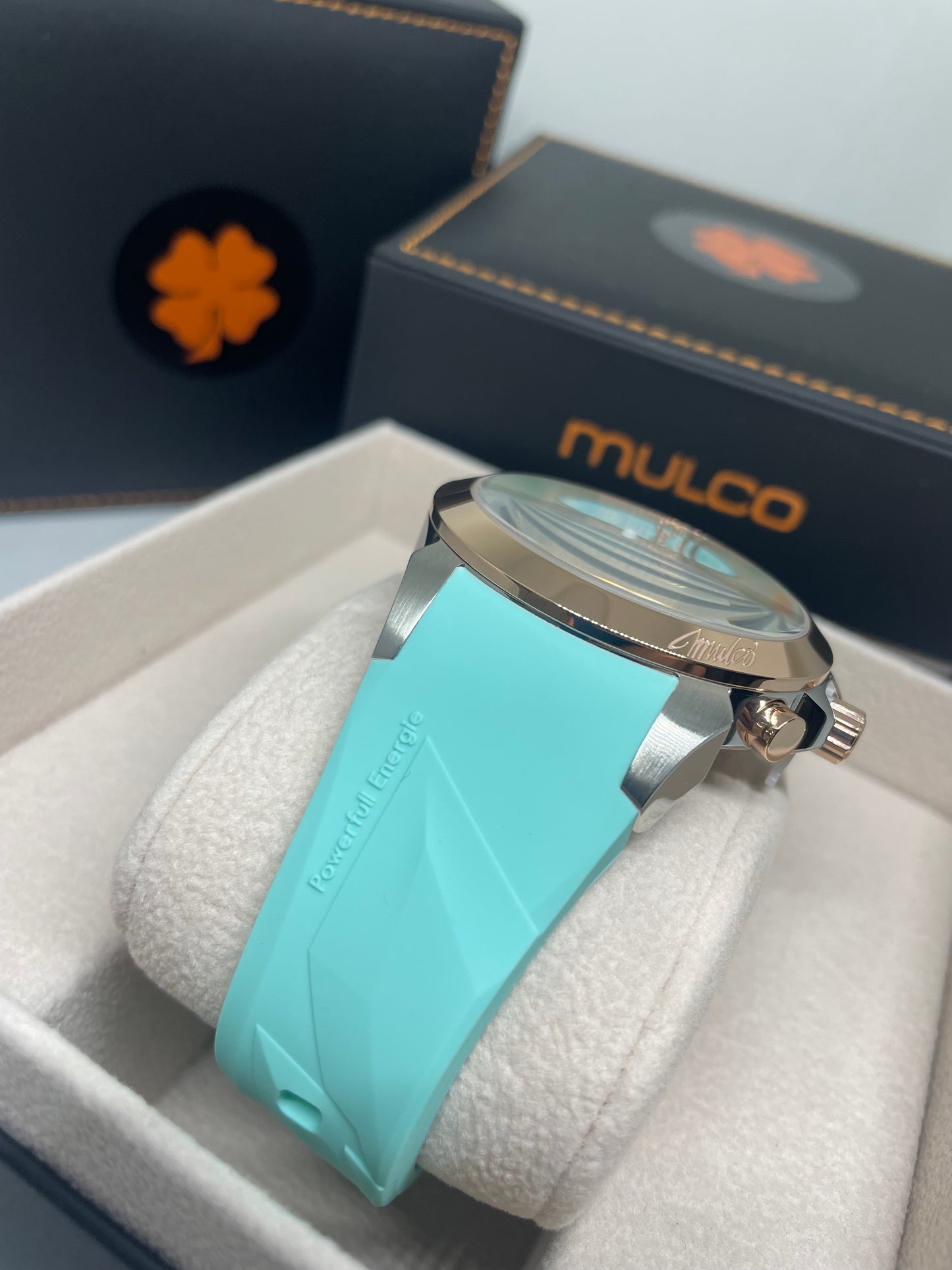 RELOJ MULCO MW3 24988043
