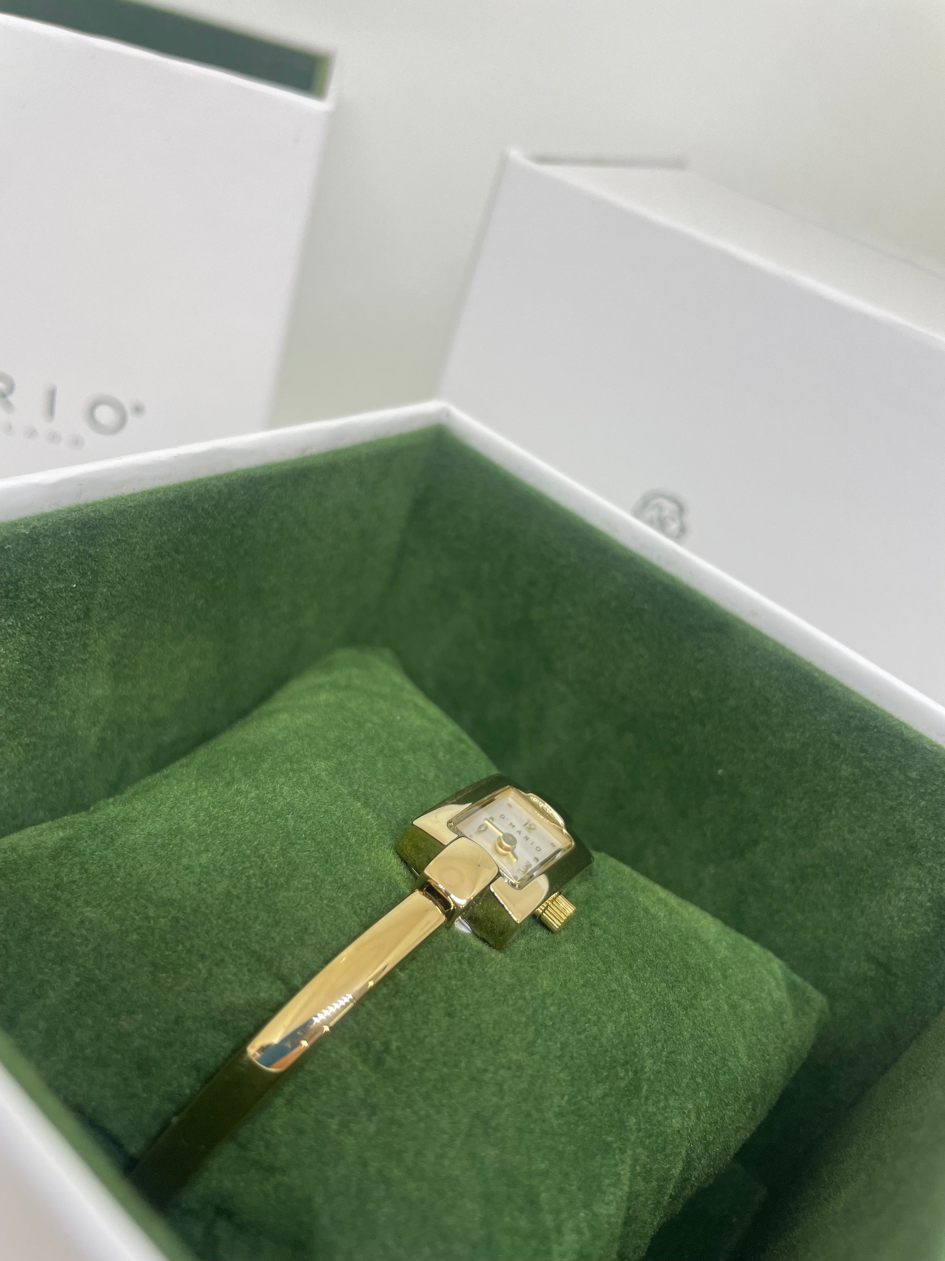 RELOJ D MARIO FA9319 - Casiolandia