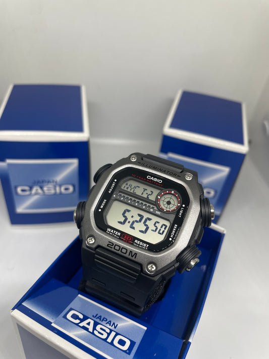RELOJ CASIO DW291H