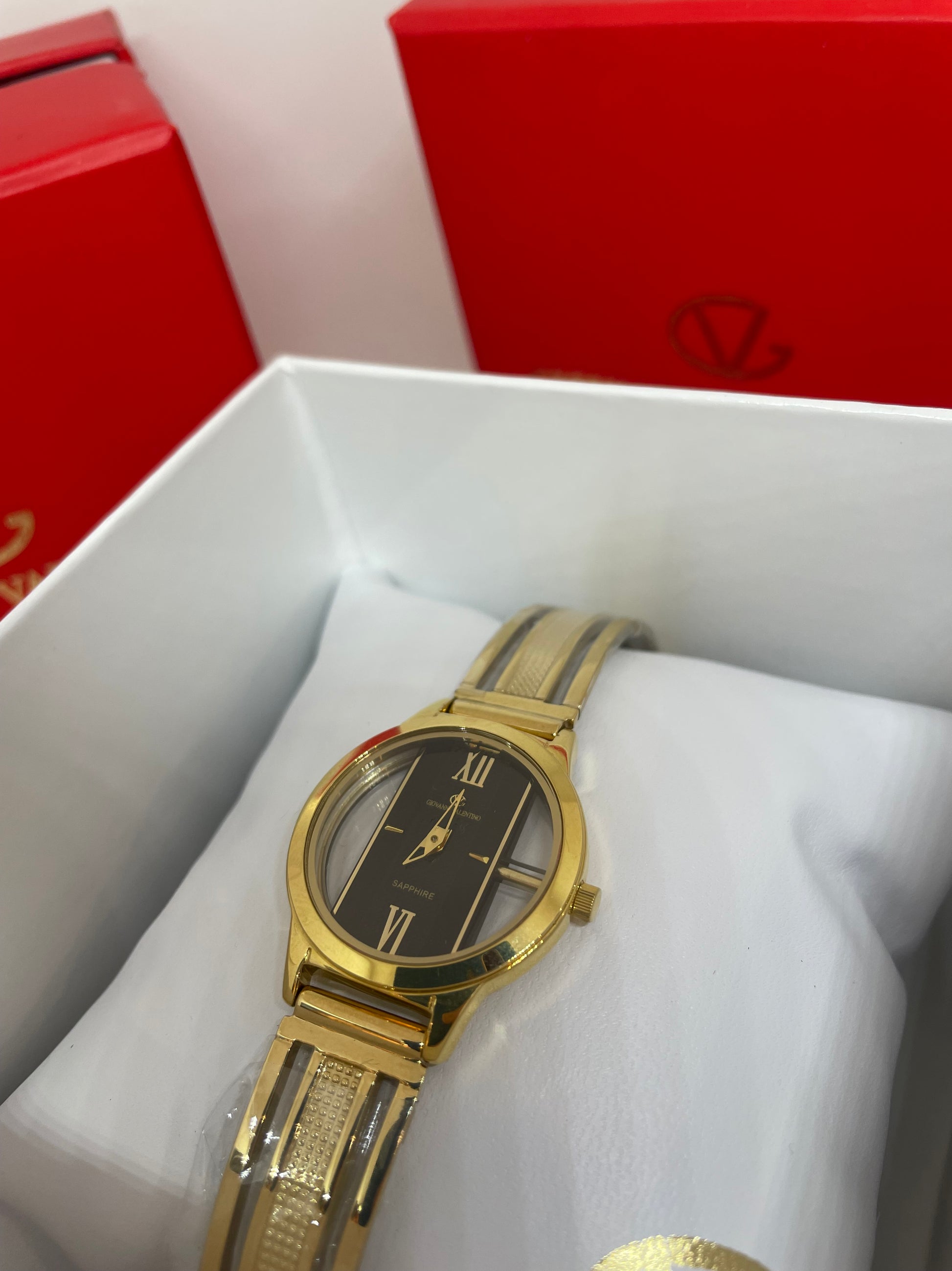 RELOJ GIOVANNI VALENTINO 8421 - Casiolandia