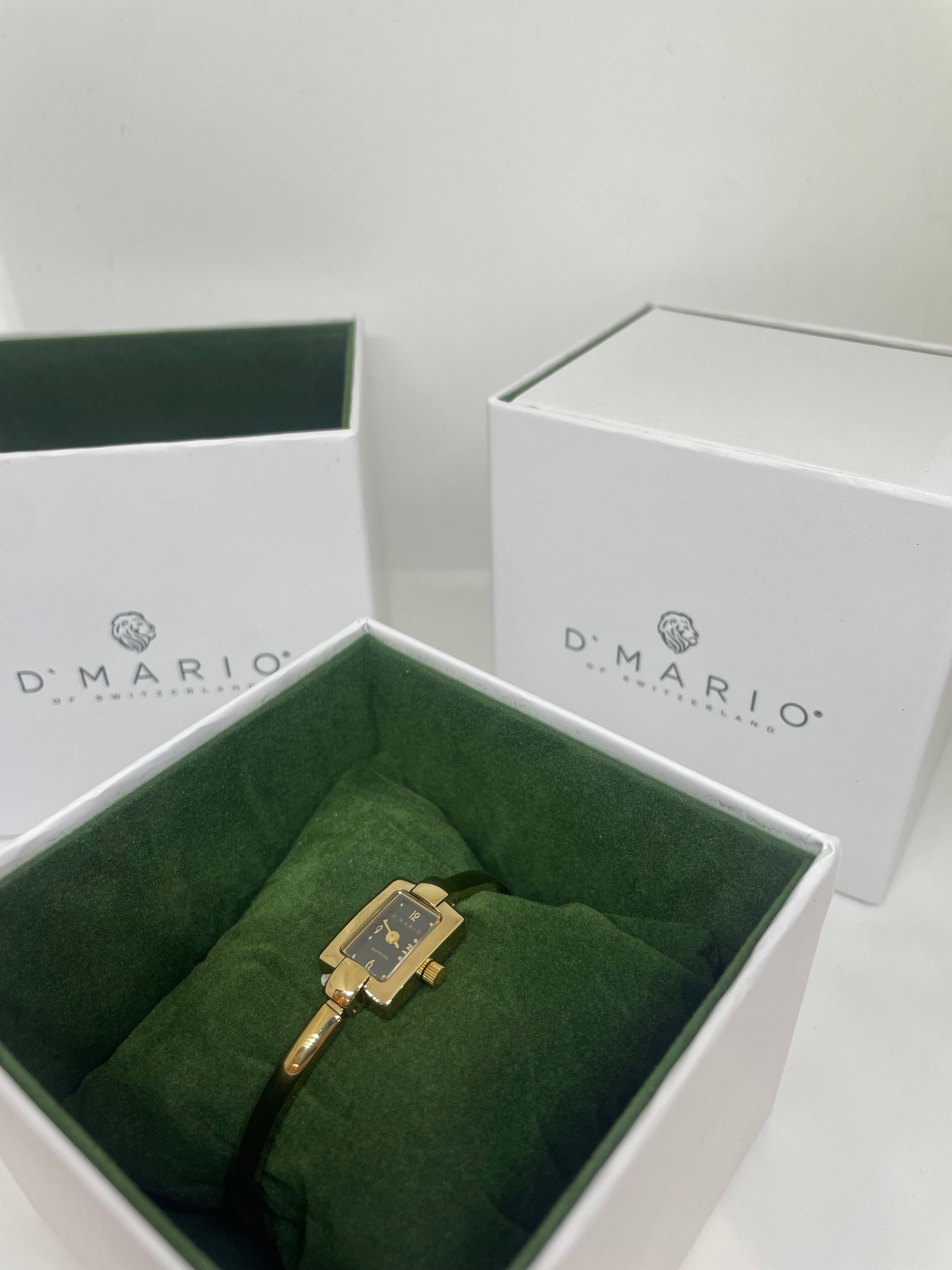 RELOJ D MARIO F9319 - Casiolandia