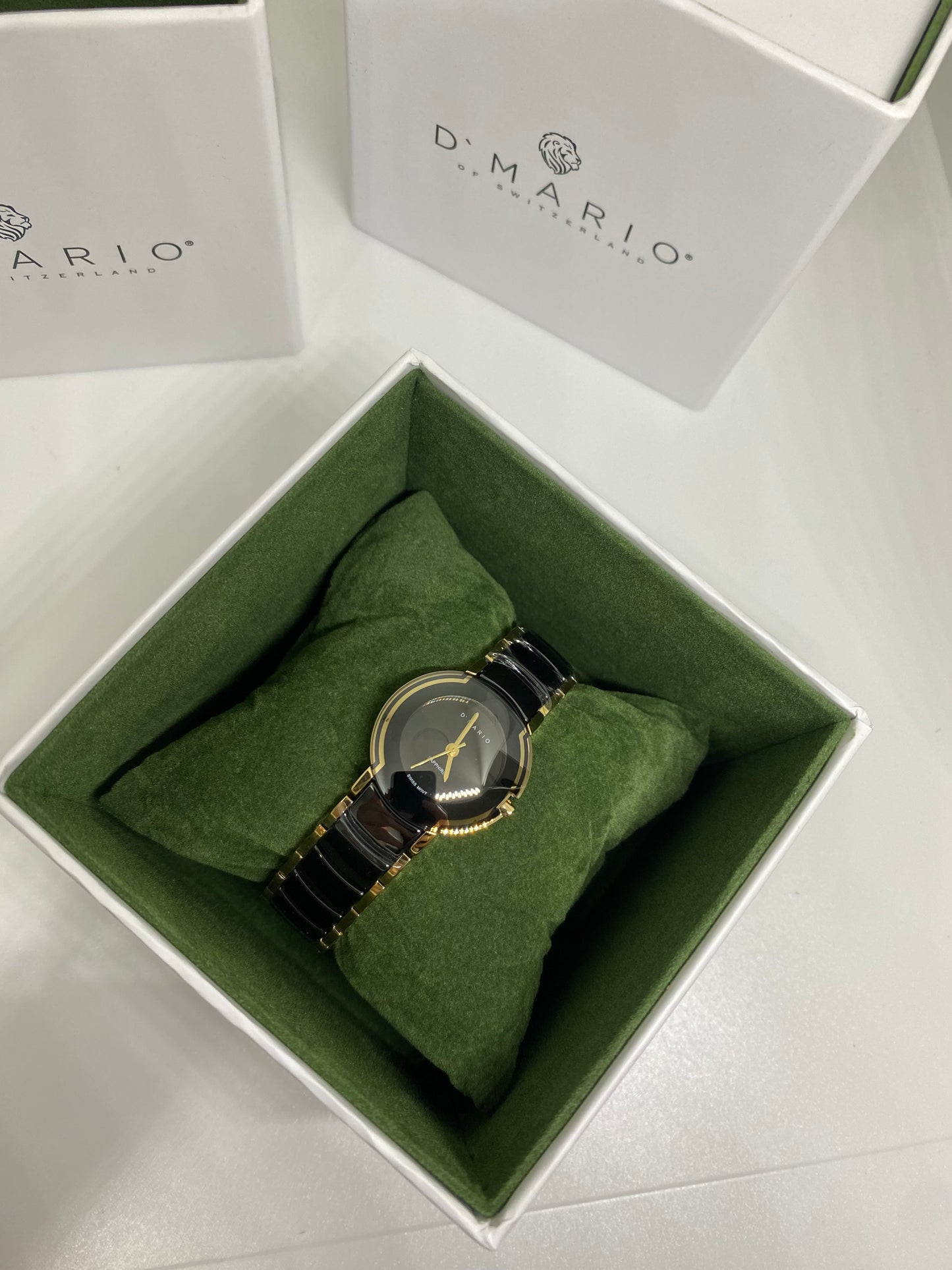 RELOJ D MARIO CS0180L - Casiolandia