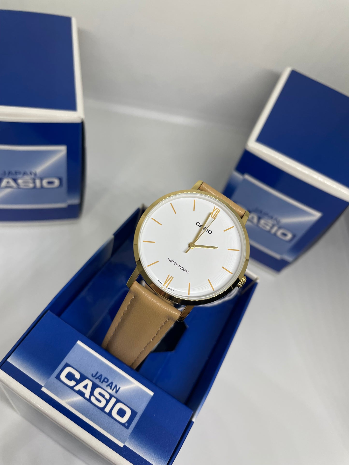 RELOJ CASIO LTP-VT01GL