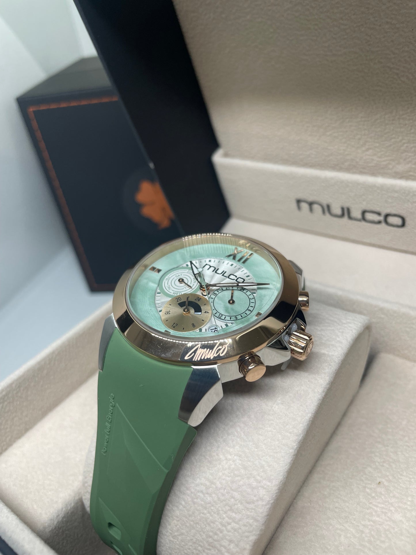 RELOJ MULCO MW3 24088
